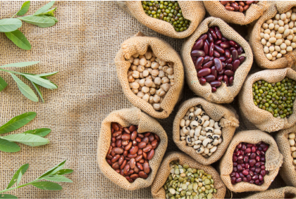 Seed Sharing Sundays at Onyeka Tefari Wellness and Spa: The Joyful Rebirth of a Green Thumb Community