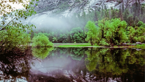 The Thing About Hiking: A Journey to Clarity, Connection, and Peace of Mind