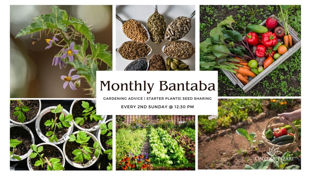 Monthly Bantaba