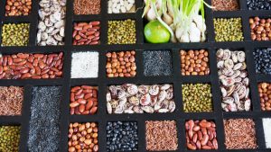 seed saving
