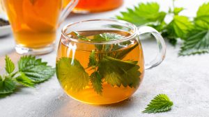 Nettle Leaf Tea