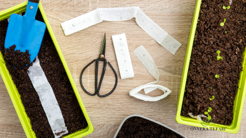 April Bantaba: Seed Tape Magic