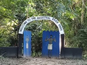 IMG_20251009_165745623