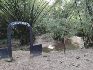 IMG_20251009_172547378_HDR