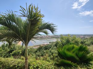 IMG_20251010_130429576_HDR