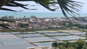 IMG_20251010_130503159