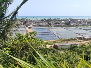 IMG_20251010_131043194