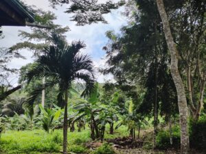 IMG_20251011_122746846_HDR