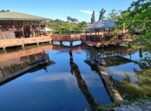 IMG_20251011_155026958