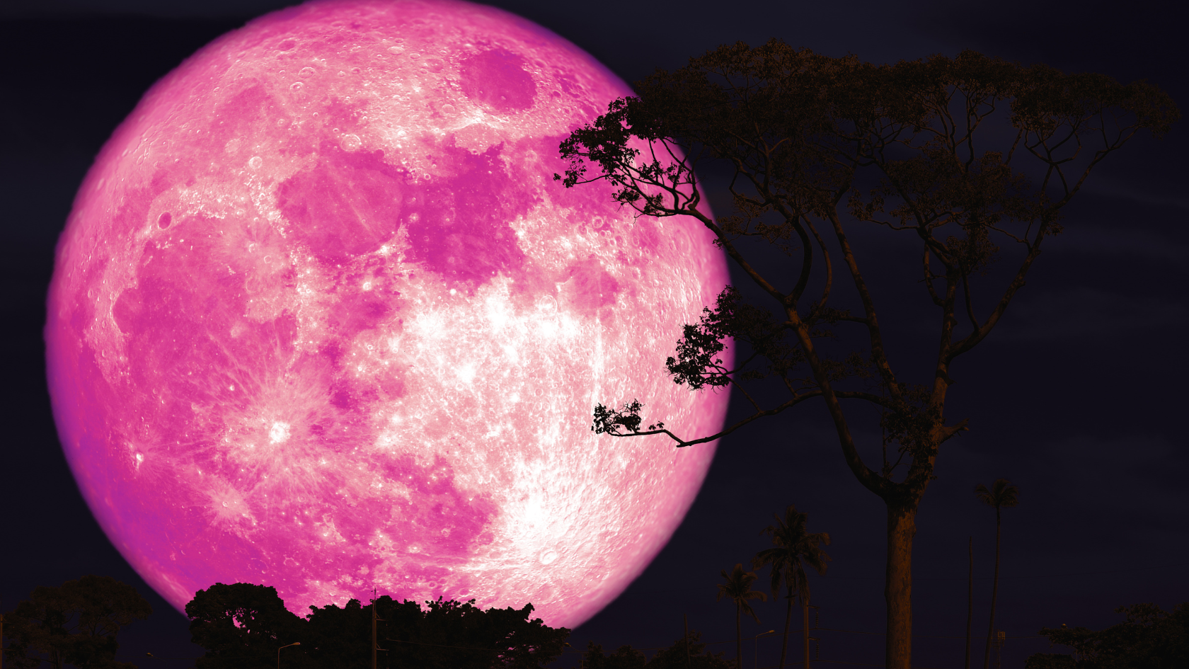 full pink moon