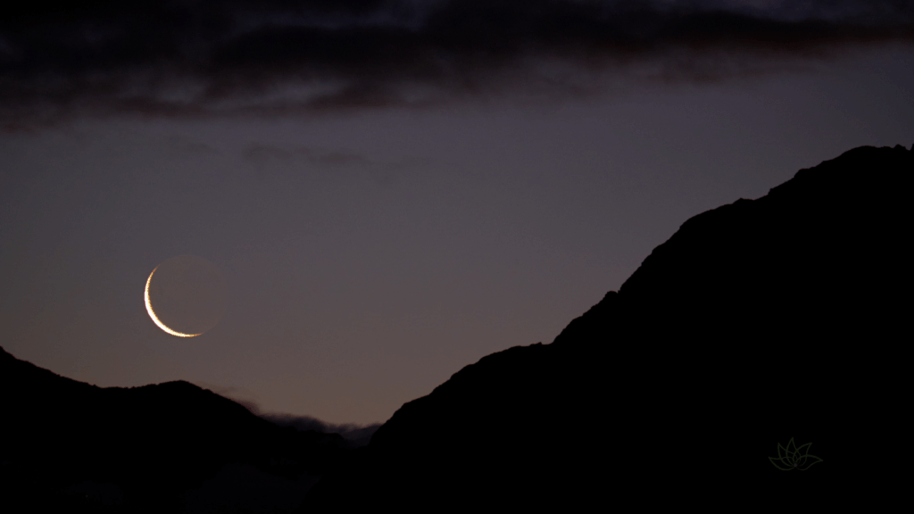 New Moon Hike & Intention Circle: The Seed | Planting One Nourishing Habit